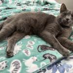 IMG_6976.jpeg