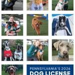 2024 Dog License Champions.jpeg