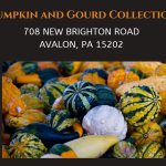 Pumpkin and Gourd Collection 2026.png
