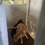 IMG_2555.jpeg