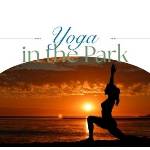 Yoga in the Park - Lake Cliff.jpeg