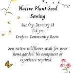 Seed Sowing 2026.jpeg