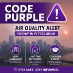 Code Purple.jpeg