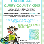 Radio Ad Contest Flyer.png