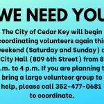 Volunteers Needed 10-10-2024.png
