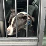 IMG_0569.jpeg