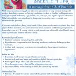 Winter Weather - Pets.png