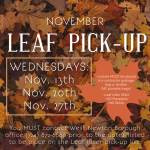Leaf Litter pickup.jpeg