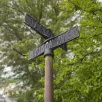 Street Signs.jpeg