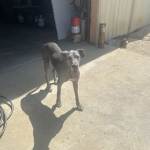 IMG_2852.jpeg