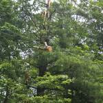 IMG_20260627_142439.jpeg