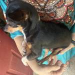 IMG_9002.jpeg