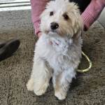 01.15.2026 White small.jpeg