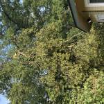 IMG_7441.jpeg