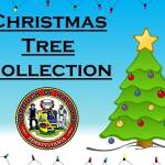 Christmas Trees Collection 2026.jpeg