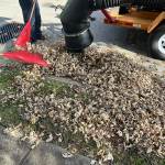 IMG_0180.jpeg