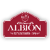 Albion Logo