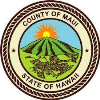 Hana Logo